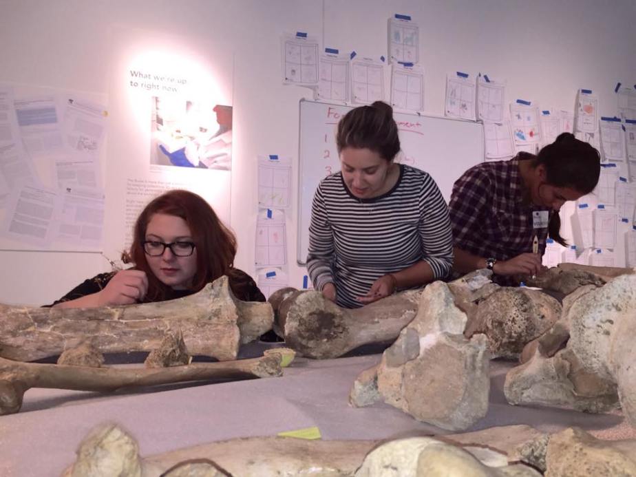 535921_809237909128772_7439283807477821986_n