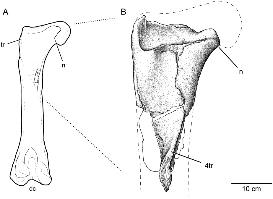 journal.pone.0127792.g003