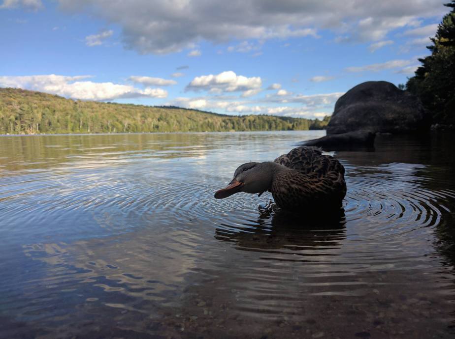 14424691_10153805286061022_9116294608918963798_o