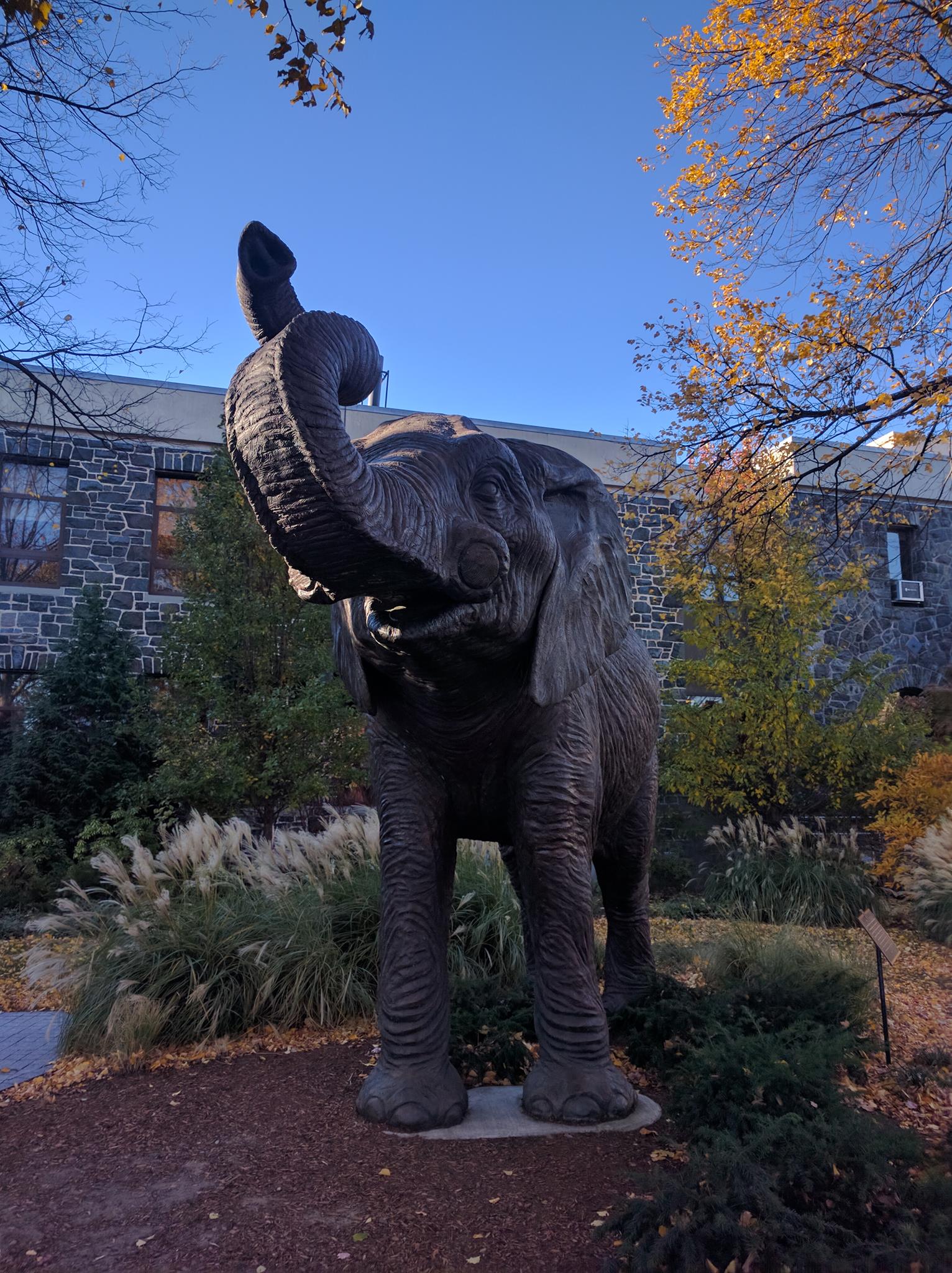 15042203_10153911256141022_5544626679074290496_o